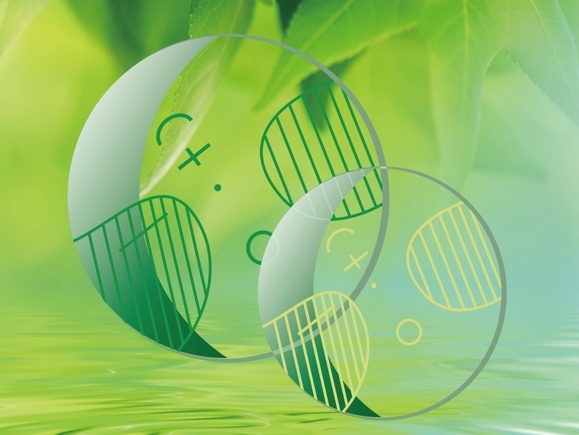 Choosing Between Single-Vision and Progressive Lenses  A Comprehensive Guide